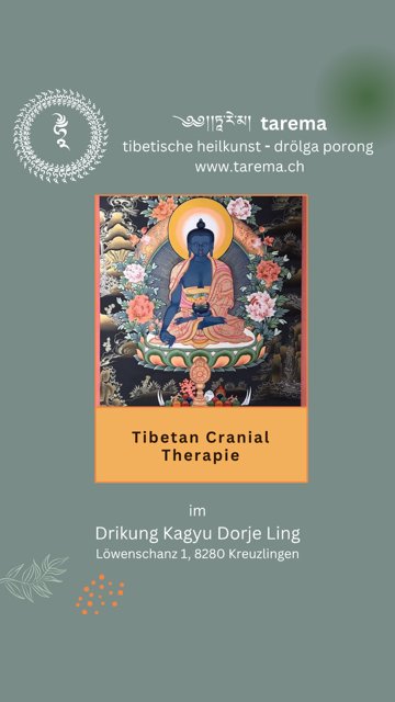 Tibetan Cranial Therapie im Drikung Zentrum